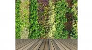 Et si vous installiez un mur végétal dans votre habitation ?