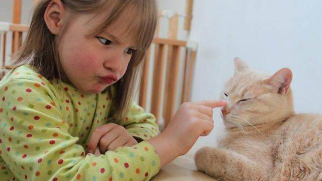 Que faire avec un chat griffeur ?