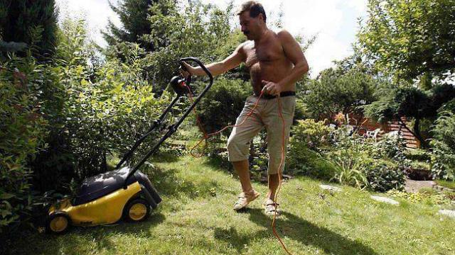 Mon jardin, mes voisins et moi  