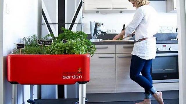 Jardin : un potager sans se baisser   