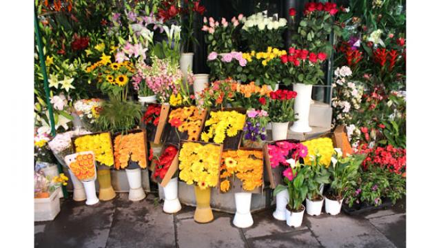 Art floral, un joli bouquet de fleurs à petit prix : astuces