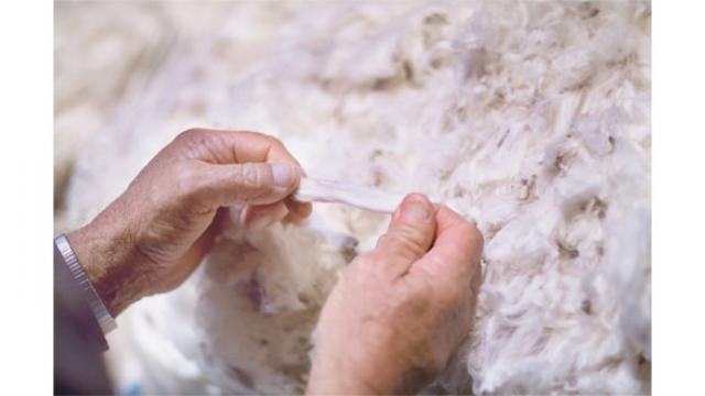 Quelle laine choisir pour tricoter ?