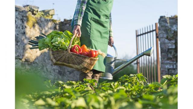 Jardiner écolo en faisant des économies
